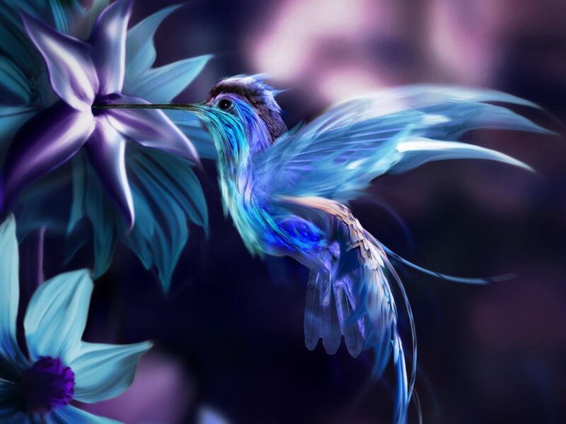 Hummingbird Feeding — Blue, Dreamy