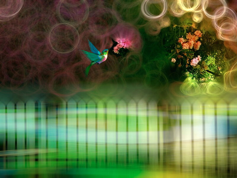 Hummingbird Feeding — Green, Dreamy