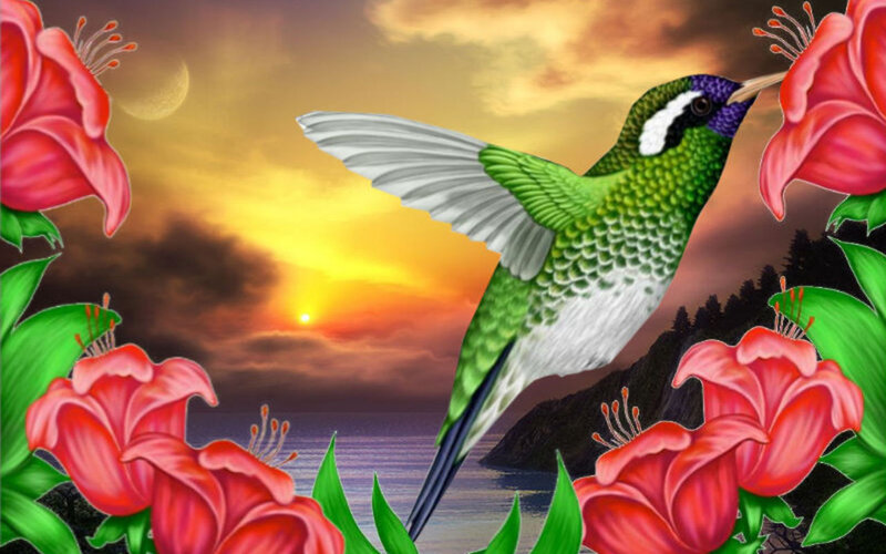 Hummingbird Feeding — Green, Serene, Sunset