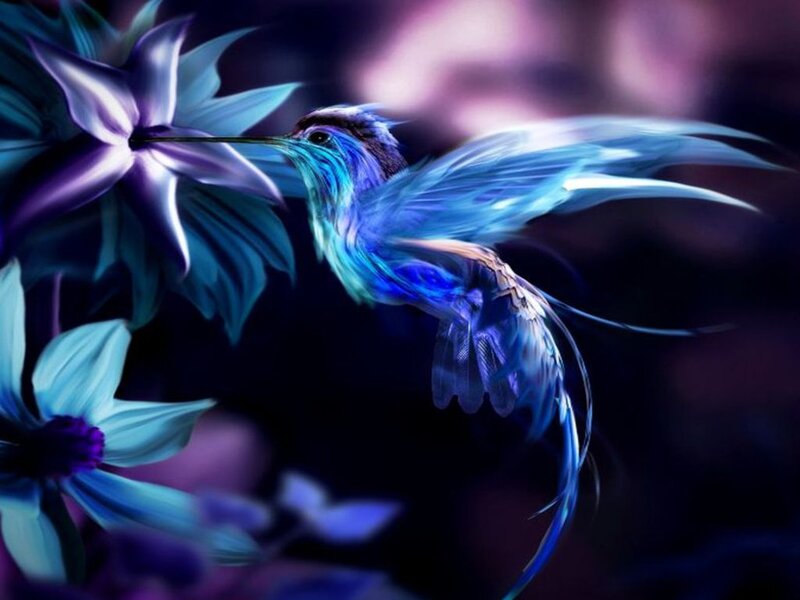 Hummingbird Feeding on Flower — Blue, Dreamy