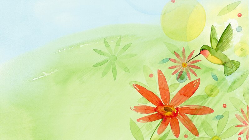 Hummingbird Feeding on Flower — Green, Serene, Afternoon, Illustration