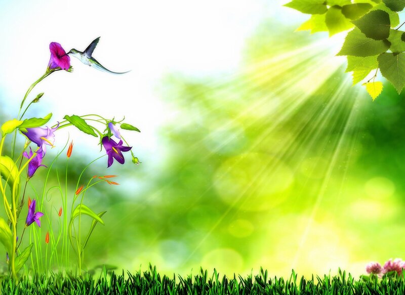 Hummingbird Feeding on Flower — Green, Serene, Morning, Digital Art