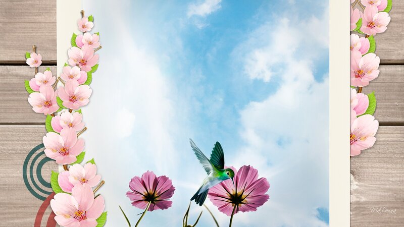 Hummingbird Feeding on Flower — Pink, Serene