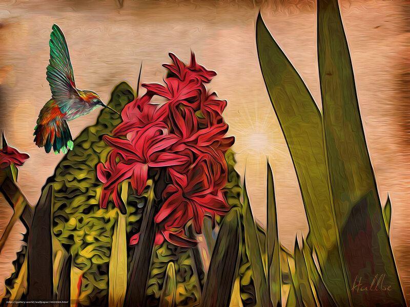Hummingbird Feeding on Flower — Red, Serene, Sunset