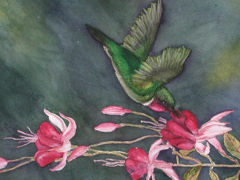 Hummingbird Feeding on Flowers — Green, Calm