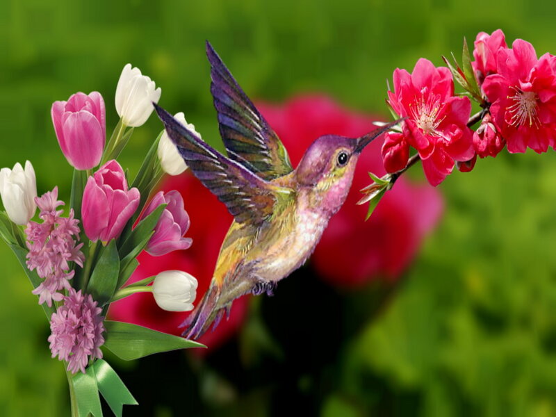 Hummingbird Feeding on Flowers — Green, Serene, Spring, Digital Art, Tulips