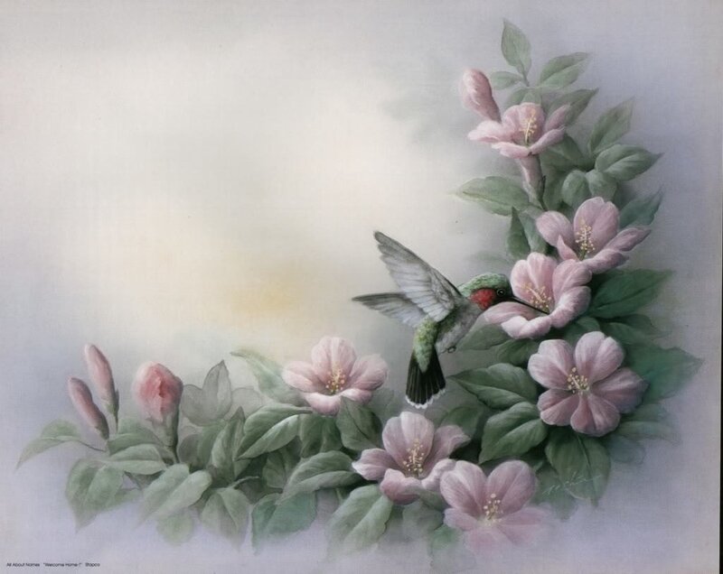Hummingbird Feeding on Flowers — Pink, Serene