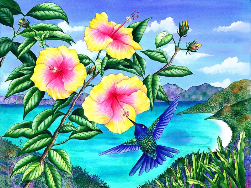 Hummingbird Feeding on Hibiscus — Yellow
