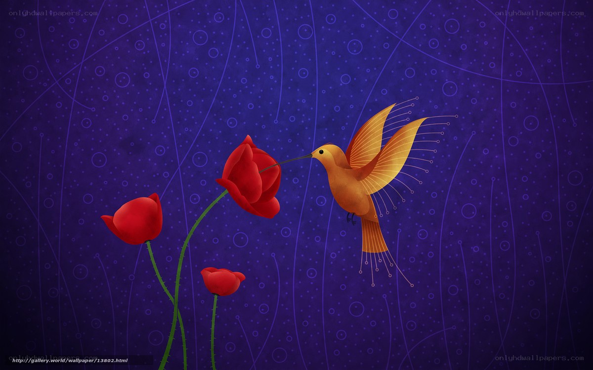 Hummingbird feeding on red flowers
