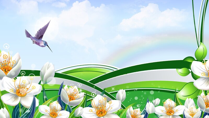 Hummingbird Flying over Flowers