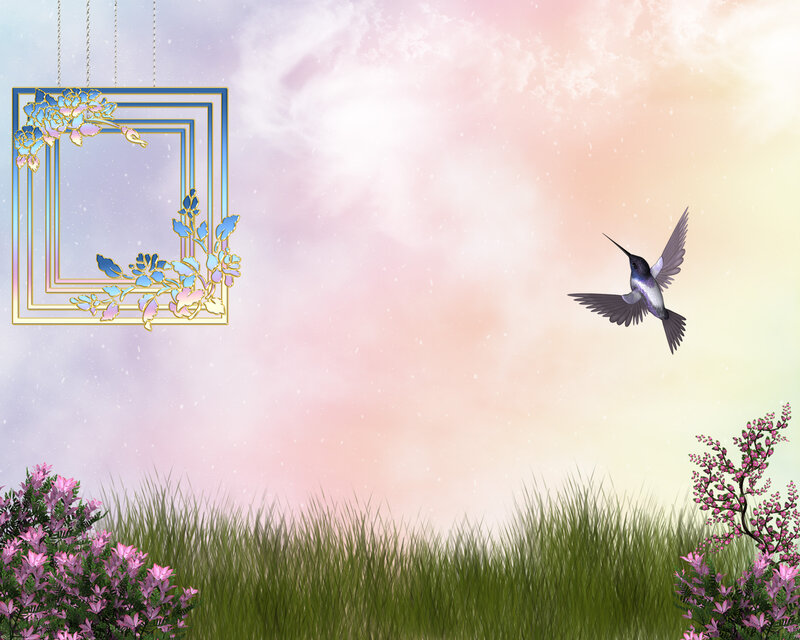 Hummingbird Flying — Pink, Serene