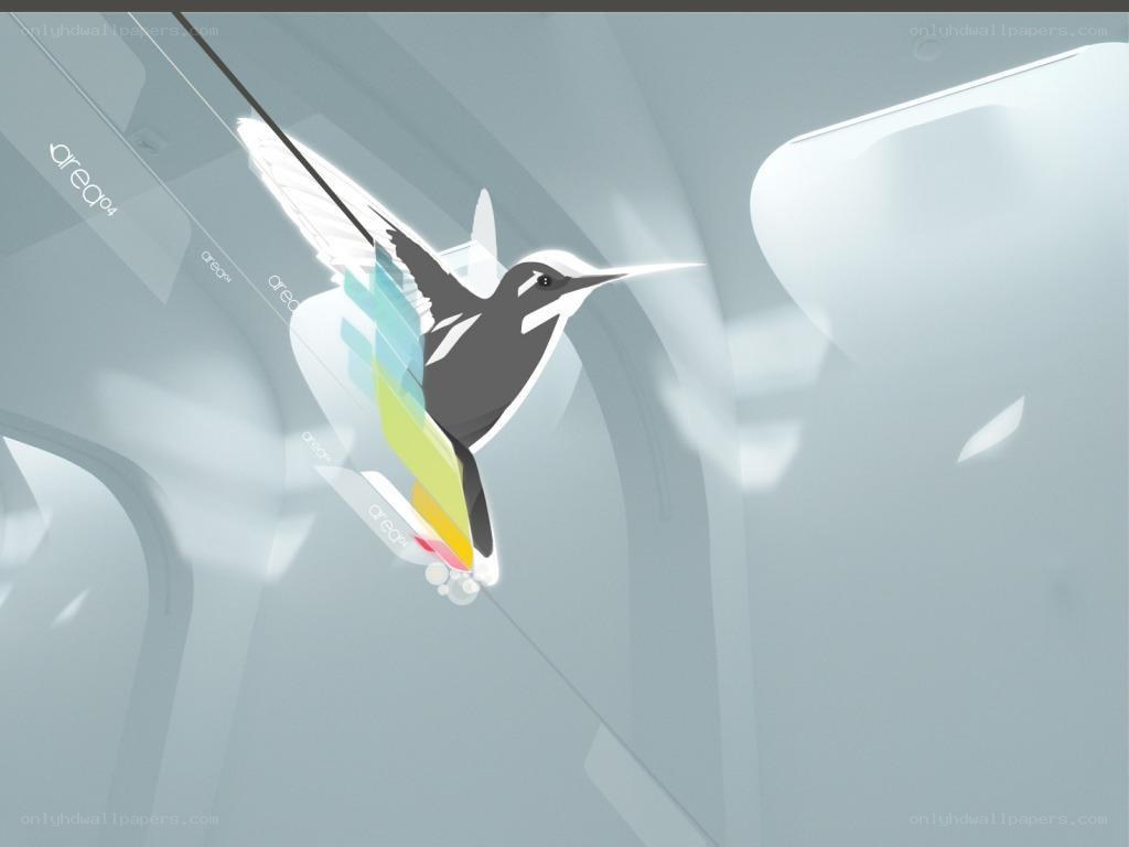 Hummingbird in a glass room