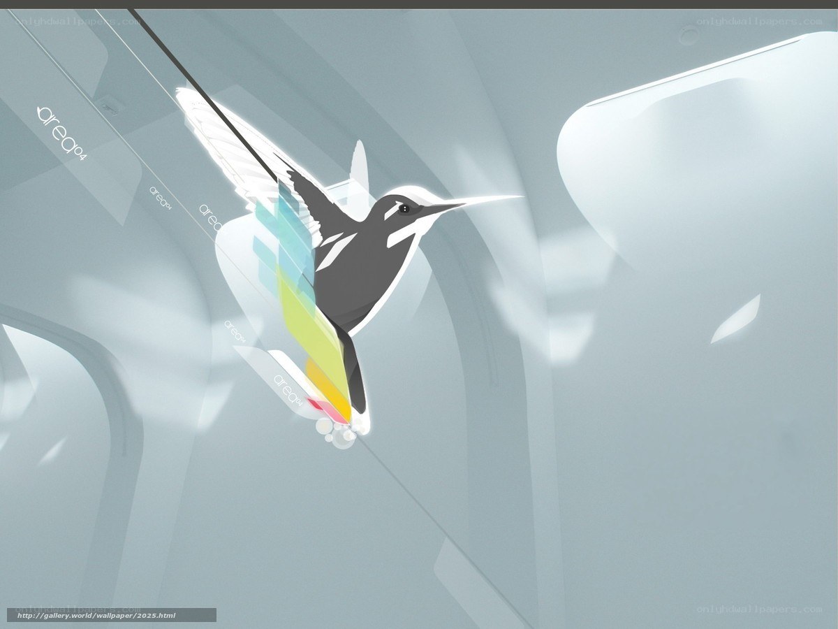 Hummingbird in a glass room