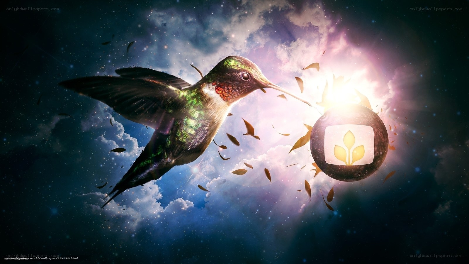 hummingbird in cosmic sky