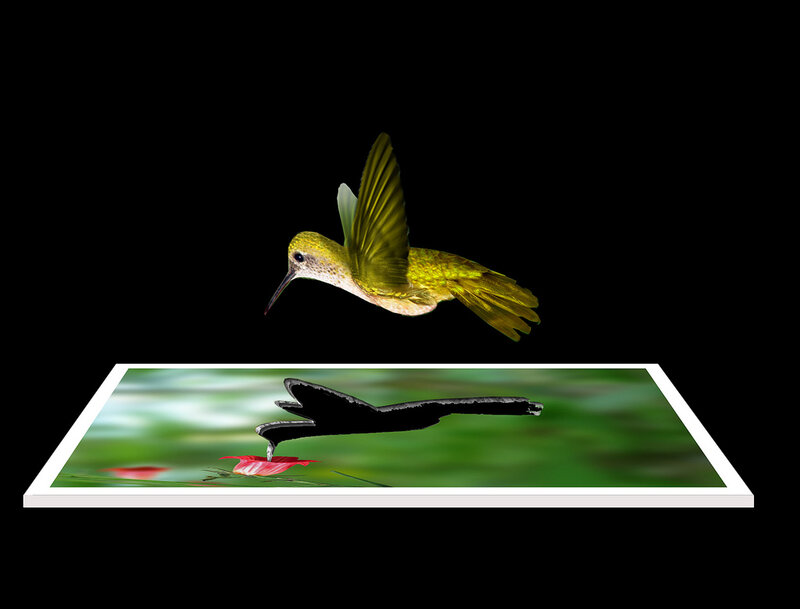 Hummingbird in Flight — Green, Dramatic