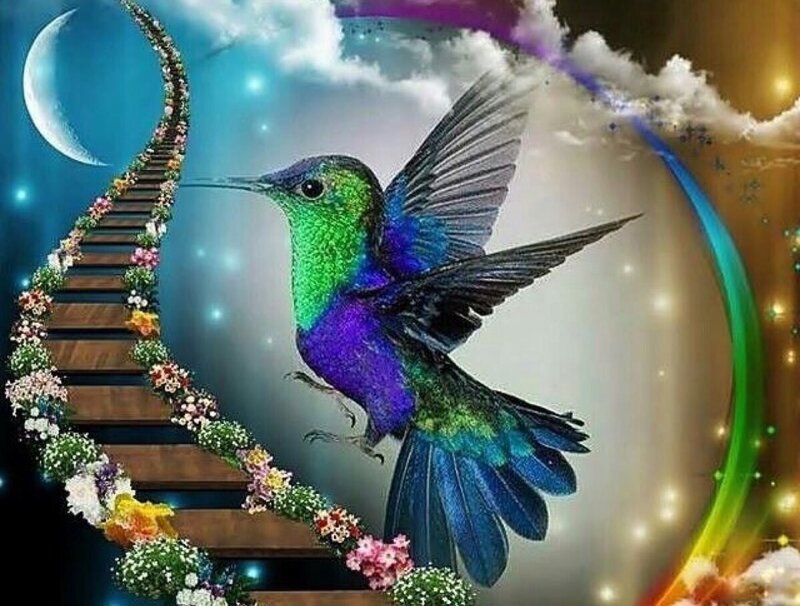 Hummingbird in Flight — Green, Fantastical