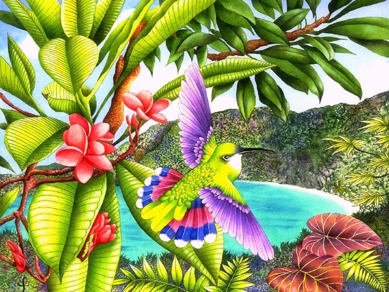 Hummingbird in Flight — Green, Tropical
