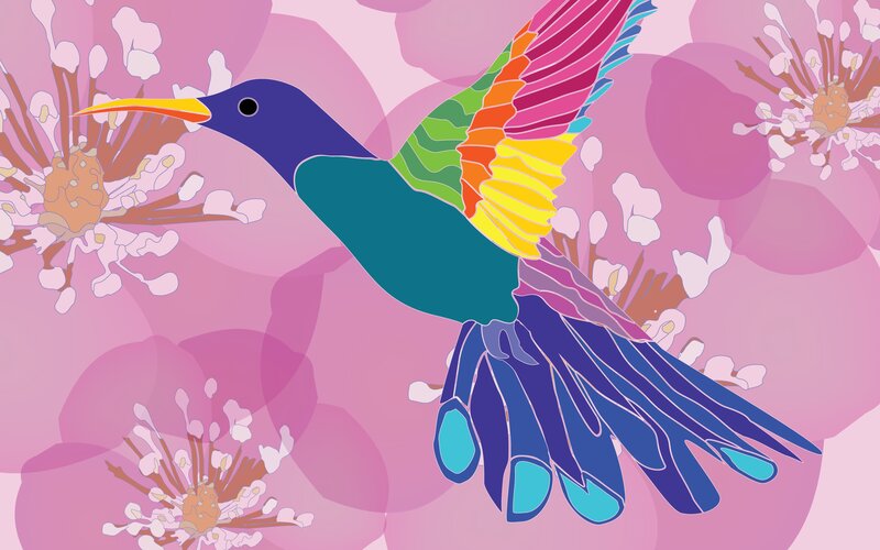 Hummingbird in Flight — Pink, Colorful