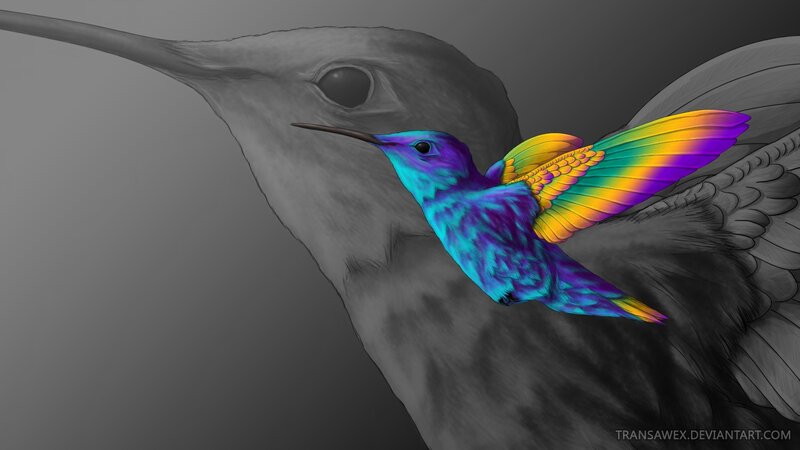Hummingbird in Flight — Purple, Dramatic