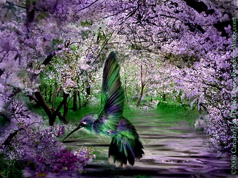 Hummingbird in Flight — Purple, Serene