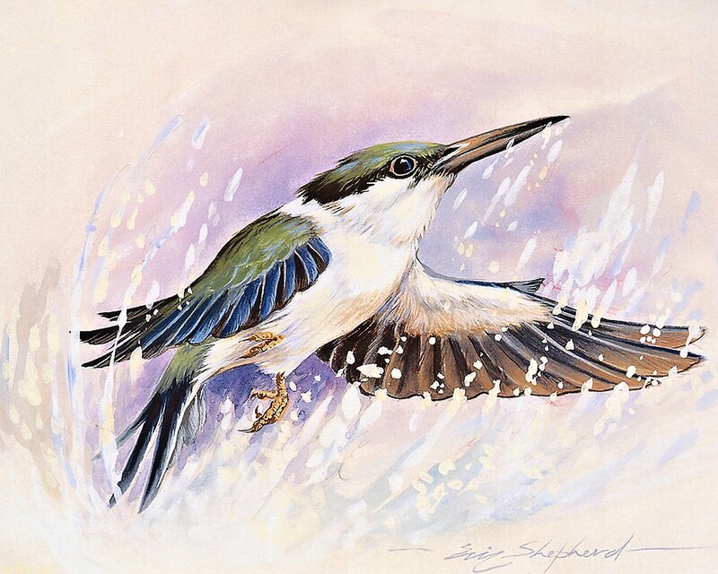 Hummingbird in Flight — White, Dynamic, Painting