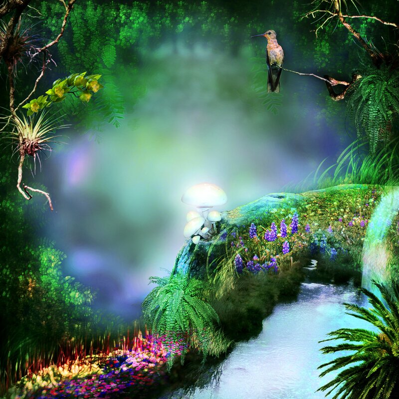 Hummingbird in Forest — Green