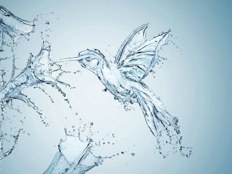 hummingbird made of water