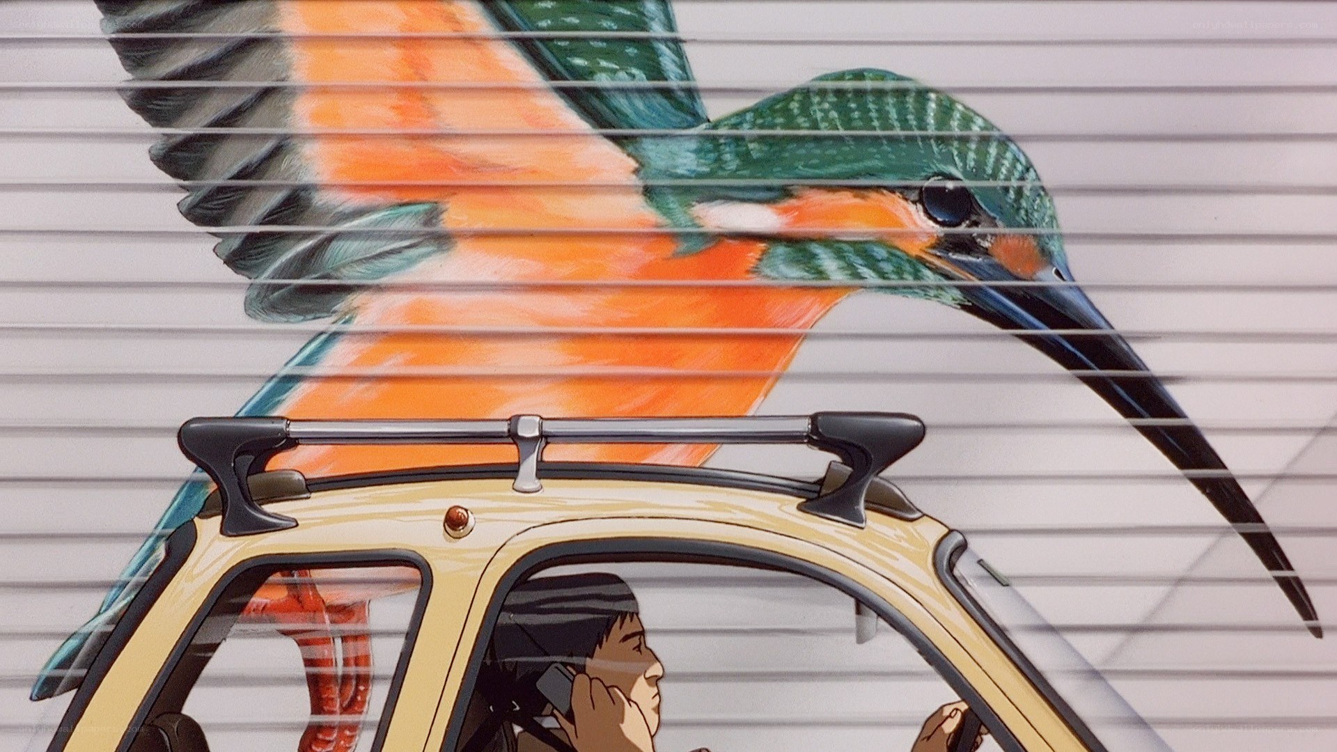 Hummingbird mural on car
