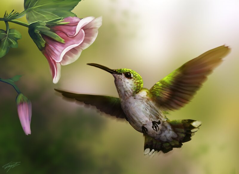 Hummingbird Near Flower — Green, Serene, Morning