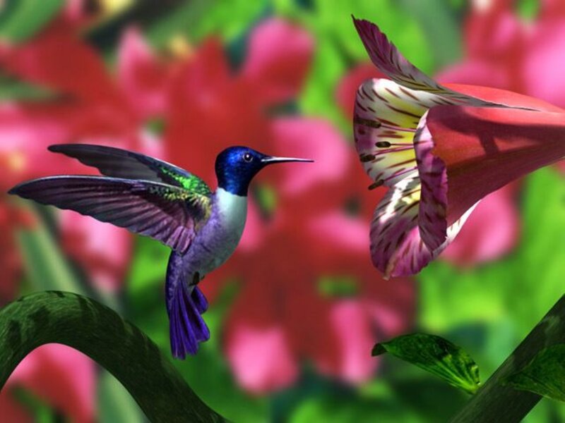 Hummingbird Near Flower — Red, Vibrant