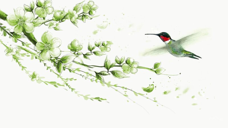 Hummingbird Near Flowers — Green, Serene, Spring