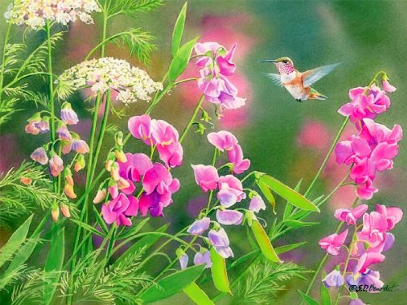 Hummingbird Near Flowers — Pink, Serene, Spring, Painting