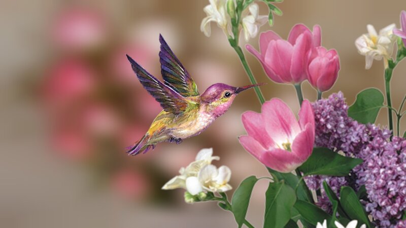 Hummingbird Near Flowers — Pink, Serene, Spring