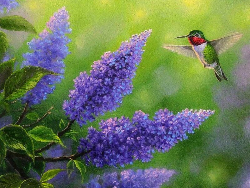 Hummingbird Near Flowers — Purple, Serene, Spring