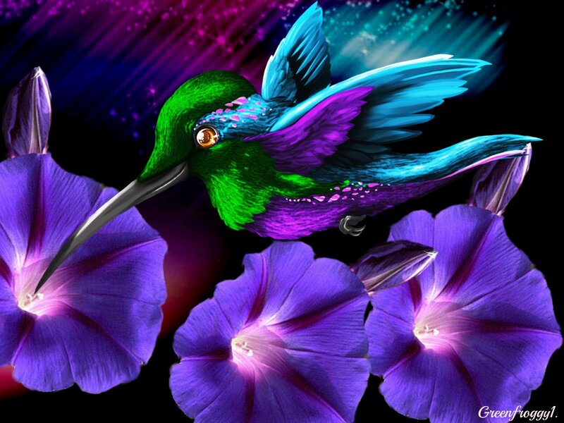 Hummingbird Near Flowers — Purple, Vibrant