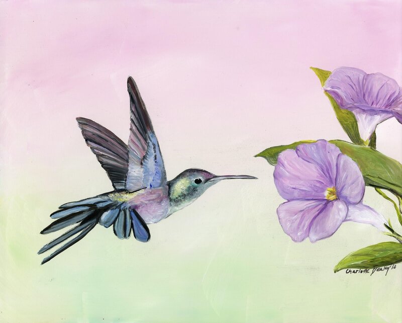 Hummingbird near purple flowers