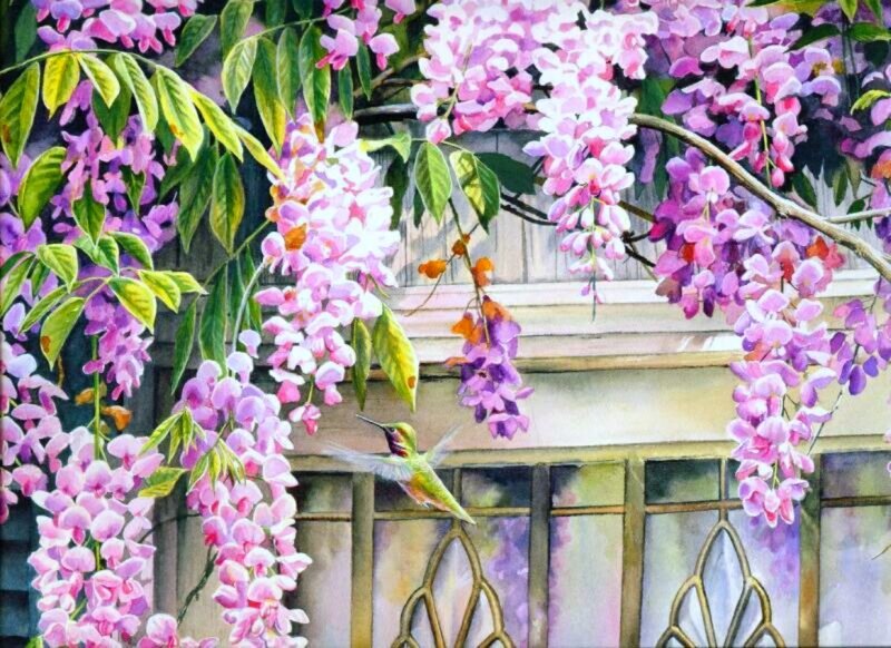 Hummingbird Near Wisteria