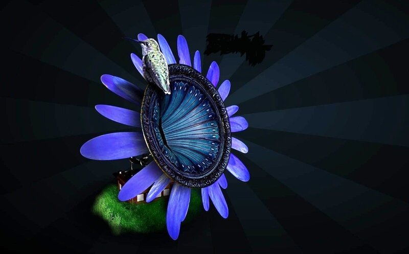 Hummingbird on Blue Flower — Dramatic