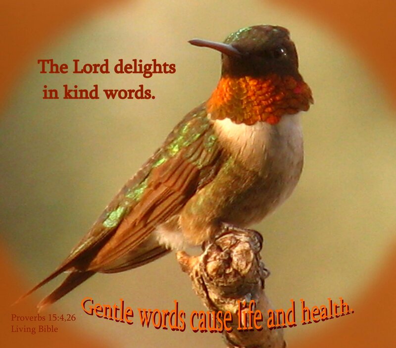 Hummingbird on Branch — Brown, Serene