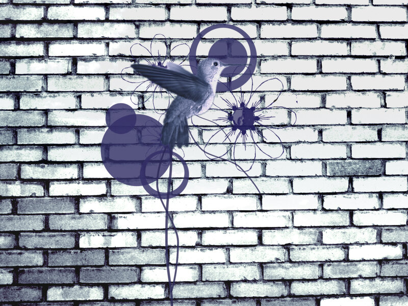 Hummingbird on Brick Wall