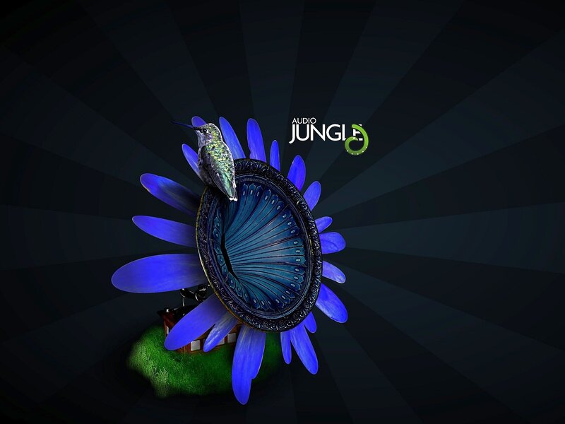 Hummingbird on Flower — Blue
