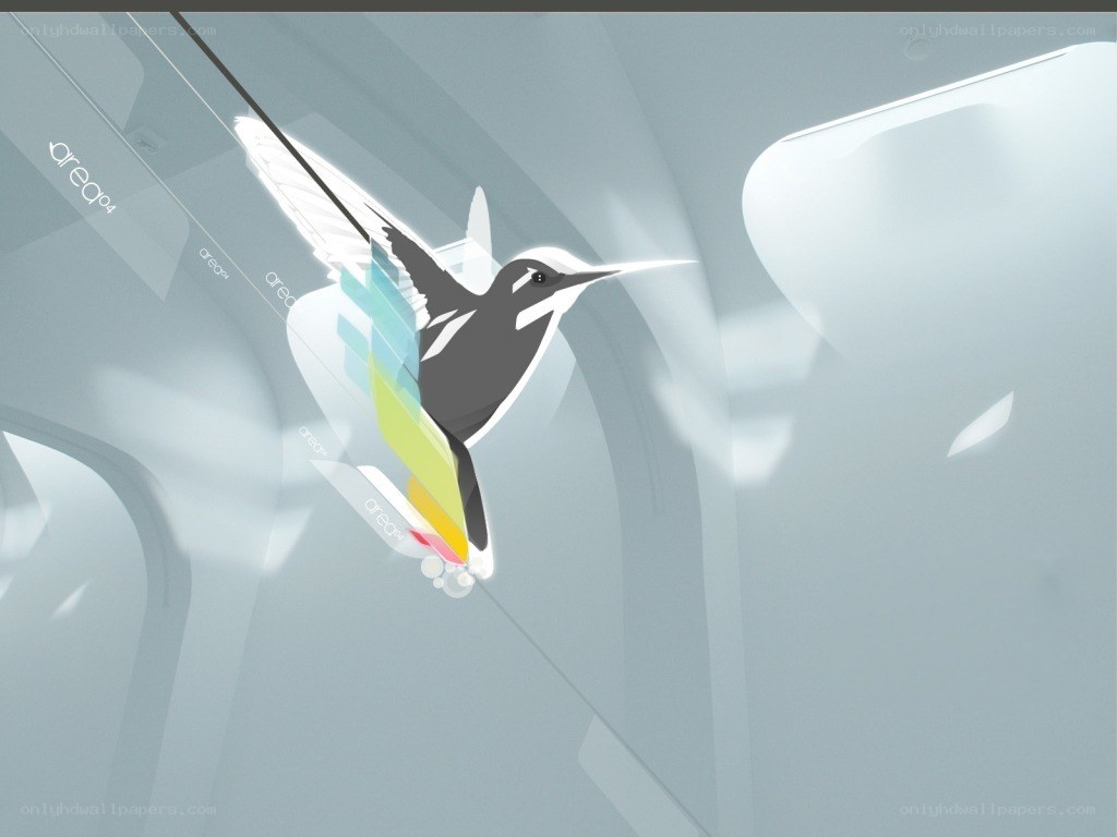 Hummingbird with color trail