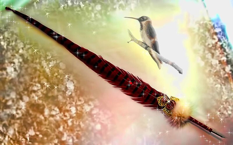 hummingbird with feather