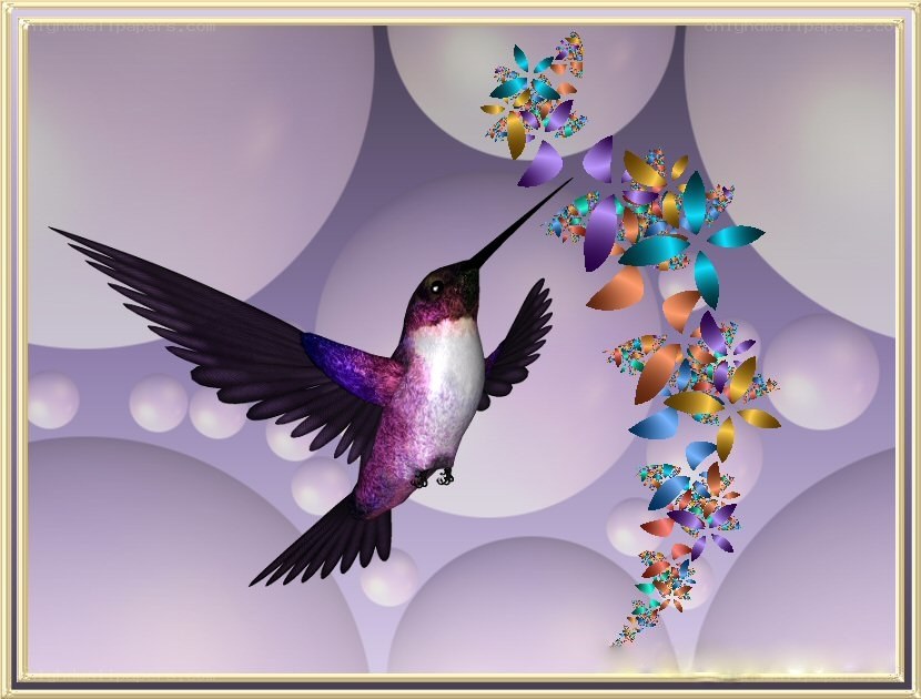 Hummingbird with fractal flowers