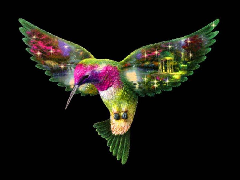 Hummingbird with Galaxy Wings