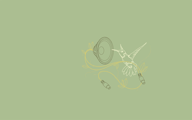 hummingbird with speaker illustration