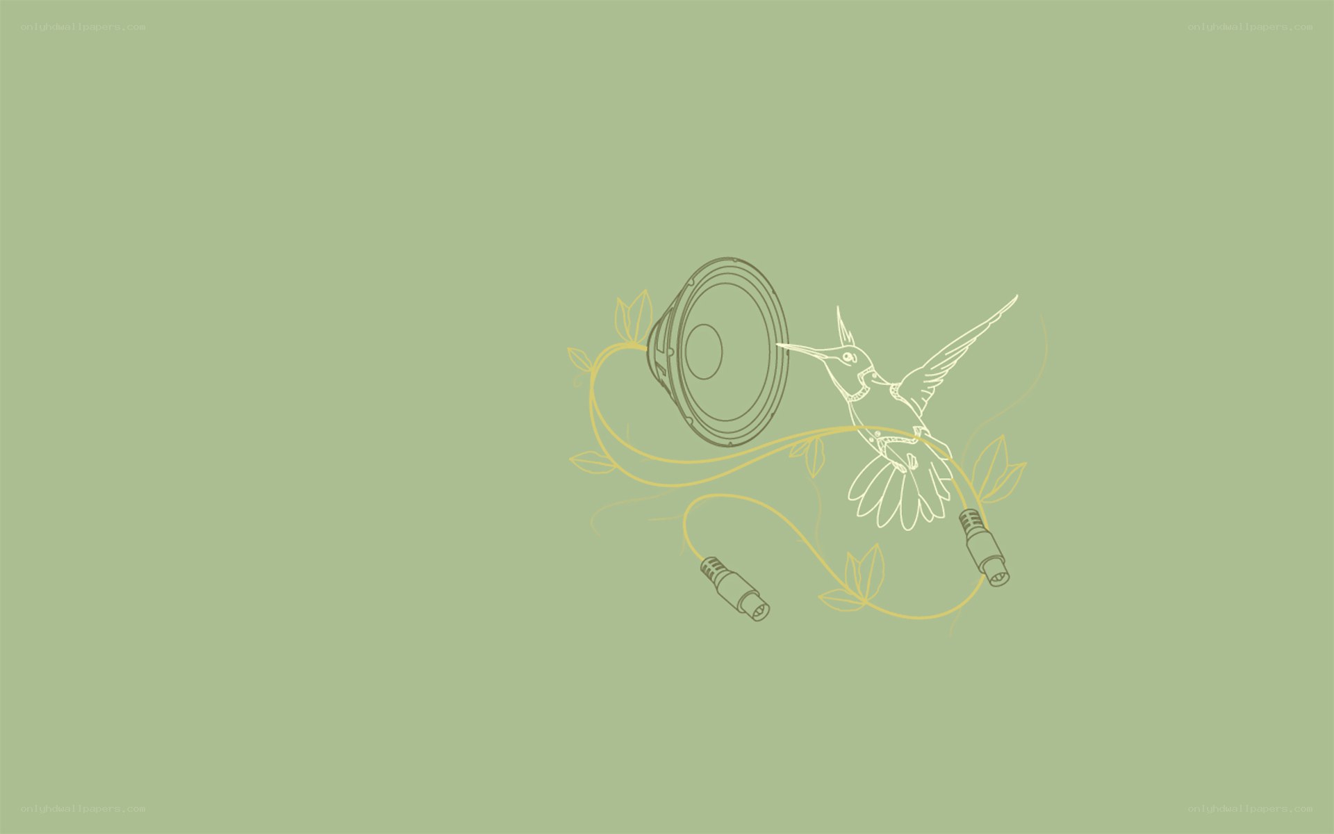 hummingbird with speaker illustration