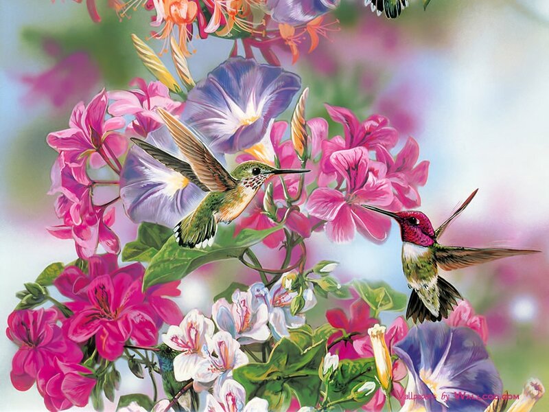 Hummingbirds Among Flowers