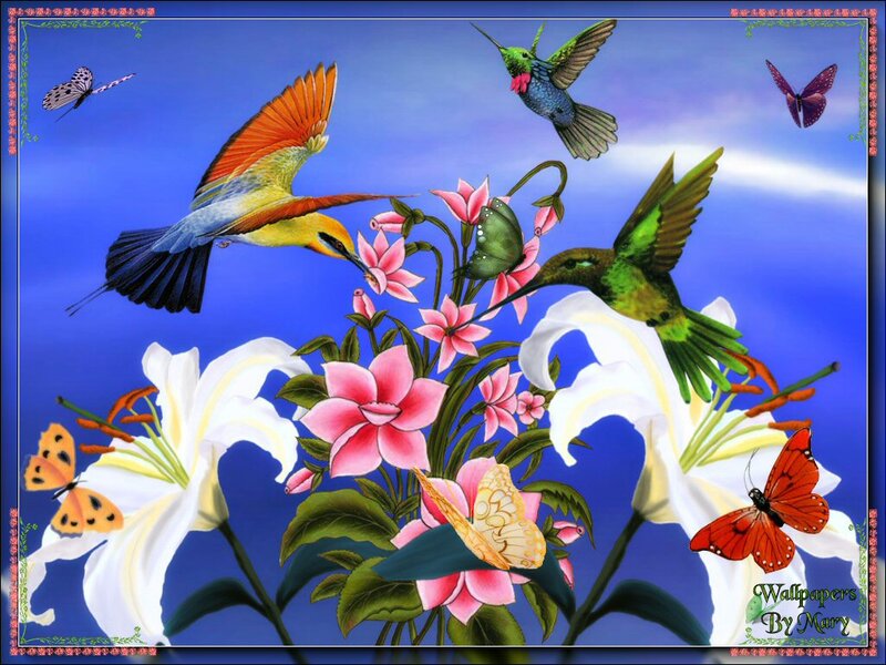 Hummingbirds and Butterflies — Blue