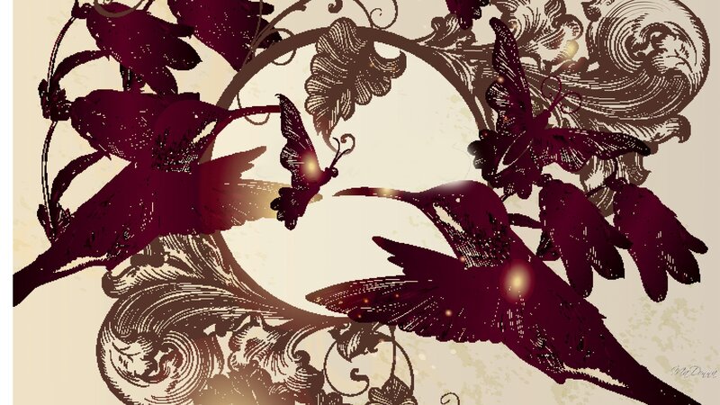 Hummingbirds and Butterflies — Maroon